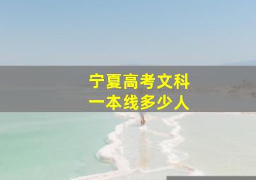 宁夏高考文科一本线多少人