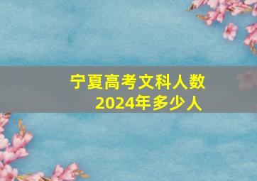 宁夏高考文科人数2024年多少人