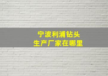 宁波利浦钻头生产厂家在哪里