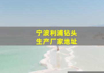 宁波利浦钻头生产厂家地址