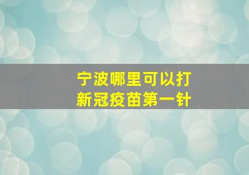 宁波哪里可以打新冠疫苗第一针