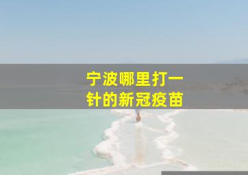 宁波哪里打一针的新冠疫苗