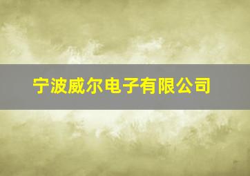 宁波威尔电子有限公司