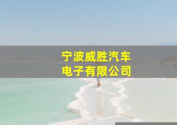 宁波威胜汽车电子有限公司