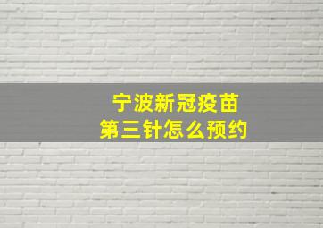 宁波新冠疫苗第三针怎么预约