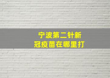 宁波第二针新冠疫苗在哪里打