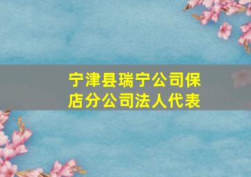 宁津县瑞宁公司保店分公司法人代表