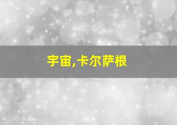 宇宙,卡尔萨根