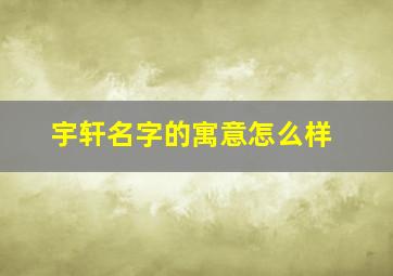 宇轩名字的寓意怎么样