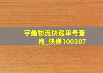 宇鑫物流快递单号查询_快递100307