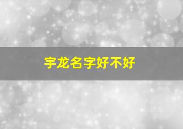 宇龙名字好不好