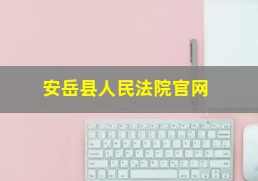 安岳县人民法院官网