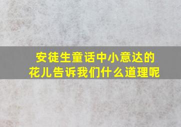 安徒生童话中小意达的花儿告诉我们什么道理呢