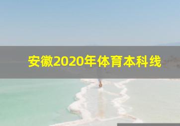 安徽2020年体育本科线