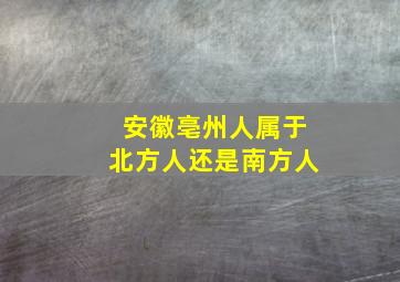 安徽亳州人属于北方人还是南方人