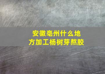 安徽亳州什么地方加工杨树芽熬胶