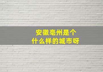 安徽亳州是个什么样的城市呀