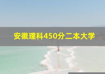 安徽理科450分二本大学