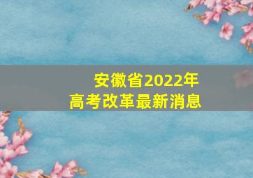 安徽省2022年高考改革最新消息