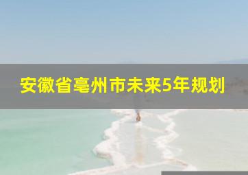 安徽省亳州市未来5年规划