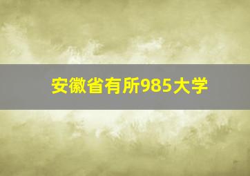 安徽省有所985大学