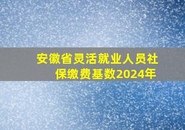 安徽省灵活就业人员社保缴费基数2024年