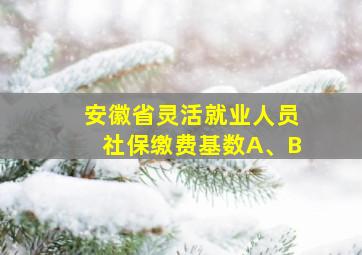 安徽省灵活就业人员社保缴费基数A、B