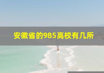 安徽省的985高校有几所