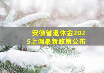 安徽省退休金2025上调最新政策公布