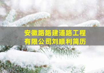 安徽路路建道路工程有限公司刘顺利简历