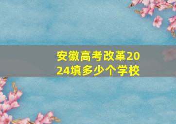 安徽高考改革2024填多少个学校