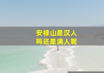 安禄山是汉人吗还是满人呢