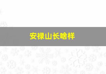 安禄山长啥样