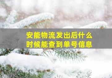 安能物流发出后什么时候能查到单号信息