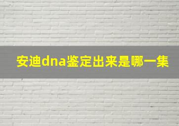 安迪dna鉴定出来是哪一集