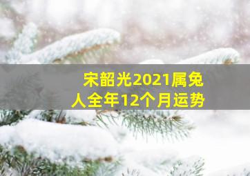 宋韶光2021属兔人全年12个月运势