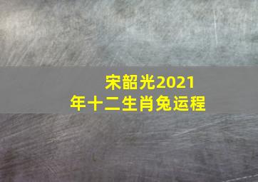 宋韶光2021年十二生肖兔运程