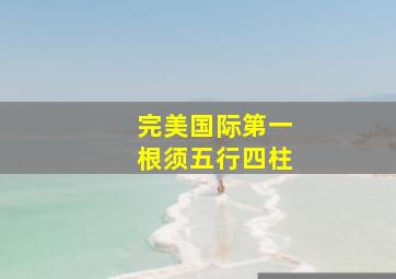 完美国际第一根须五行四柱