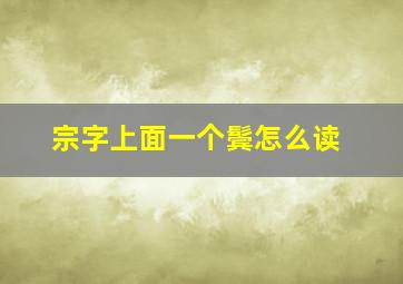 宗字上面一个鬓怎么读