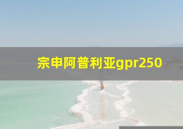 宗申阿普利亚gpr250