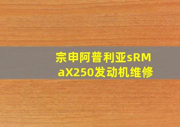 宗申阿普利亚sRMaX250发动机维修