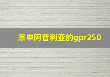 宗申阿普利亚的gpr250