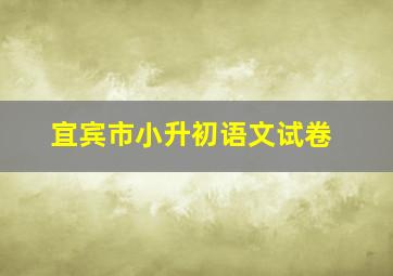 宜宾市小升初语文试卷