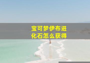 宝可梦伊布进化石怎么获得