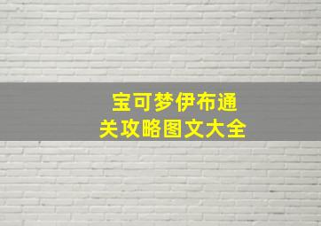 宝可梦伊布通关攻略图文大全