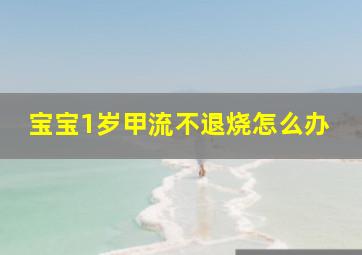 宝宝1岁甲流不退烧怎么办