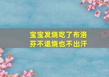 宝宝发烧吃了布洛芬不退烧也不出汗