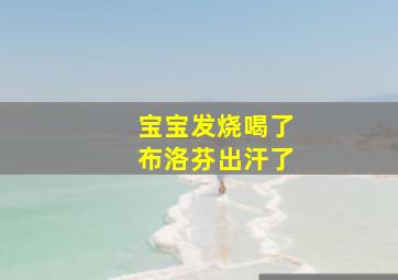 宝宝发烧喝了布洛芬出汗了