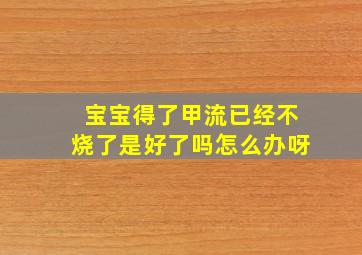 宝宝得了甲流已经不烧了是好了吗怎么办呀