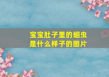 宝宝肚子里的蛔虫是什么样子的图片